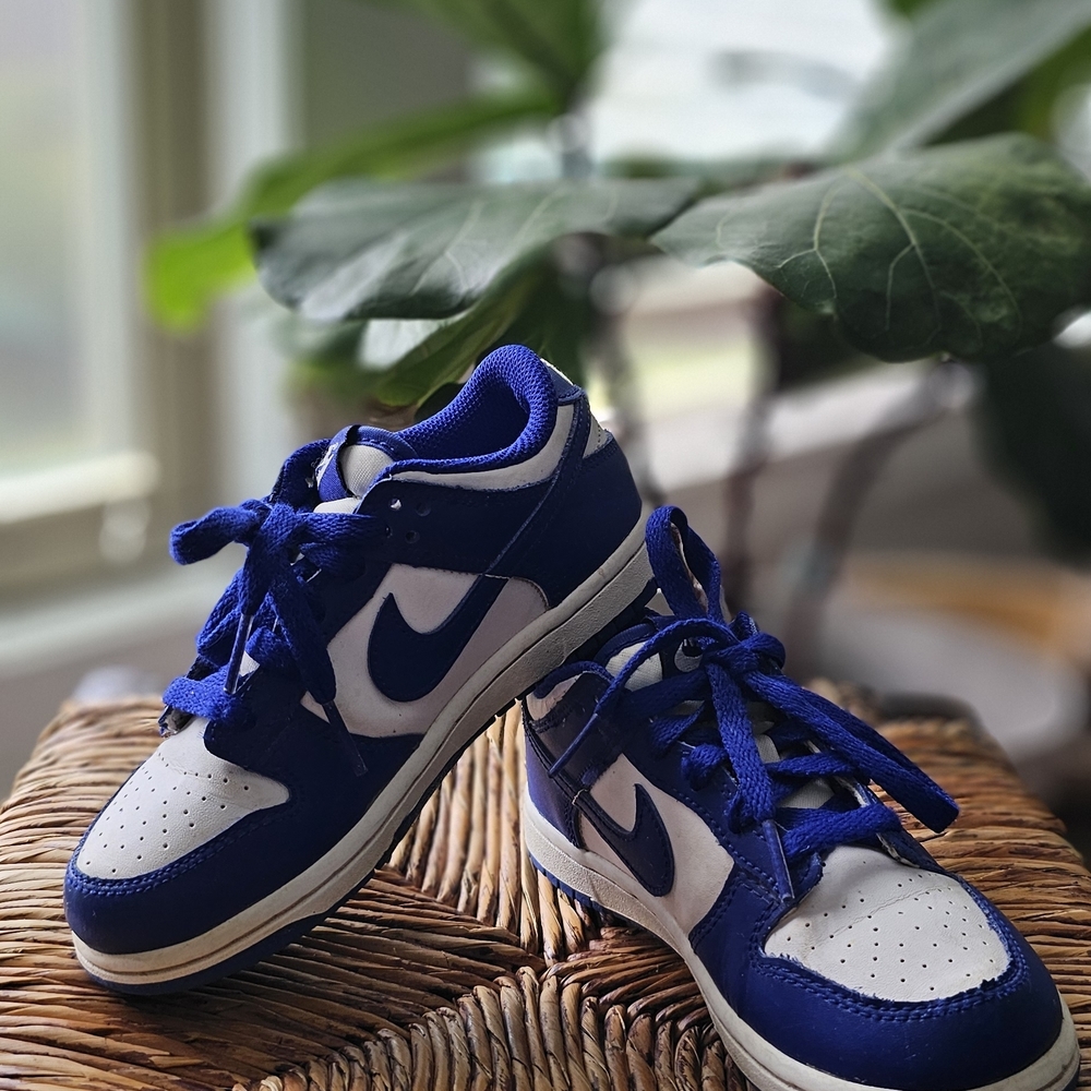 Nike Dunk Low Blue and White Athletic Sneakers